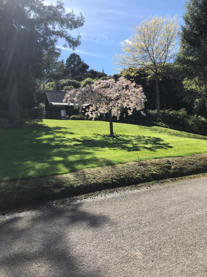 Cherrywood Cottage Akaroa Bagian luar foto